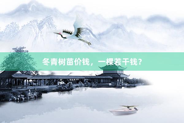 冬青树苗价钱，一棵若干钱？