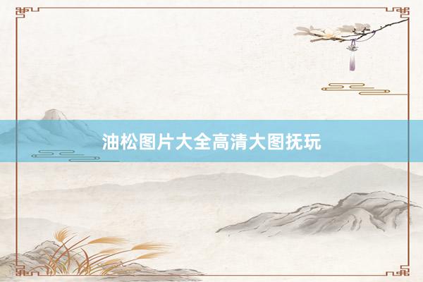 油松图片大全高清大图抚玩