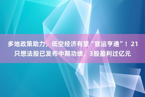 多地政策助力，低空经济有望“官运亨通”！21只想法股已发布中期功绩，3股盈利过亿元