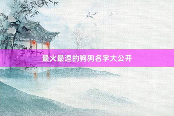 最火最逗的狗狗名字大公开