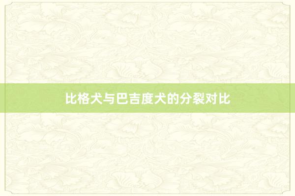 比格犬与巴吉度犬的分裂对比