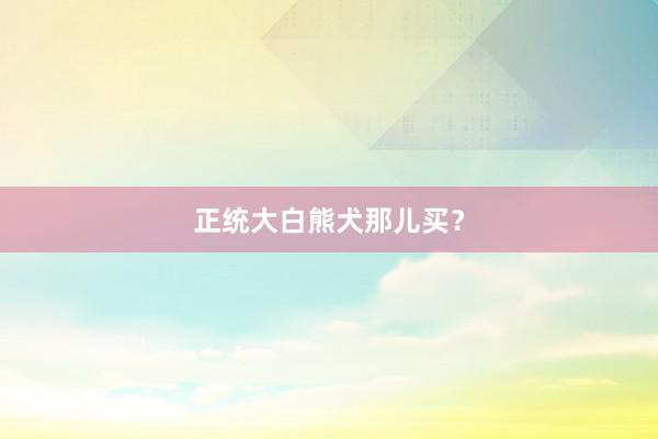 正统大白熊犬那儿买？