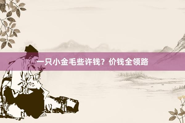 一只小金毛些许钱？价钱全领路